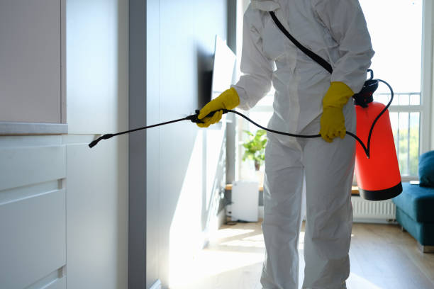 Best Biohazard Mold Removal  in Paradise, NV